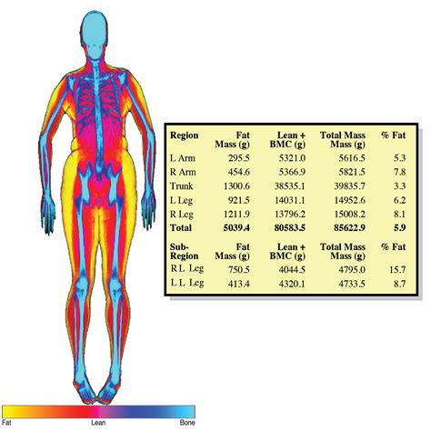 Pdf Links Helpful Pdfs Body Dexa Fit