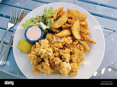 Cracked conch dinner at a restaurant in Harbour Island Bahamas Stock Photo - Alamy