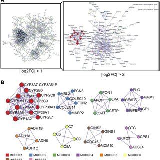 Ppi Network Analysis Of Degs In Hcc A Ppi Network Analysis Of