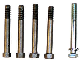 main bolt model aorg