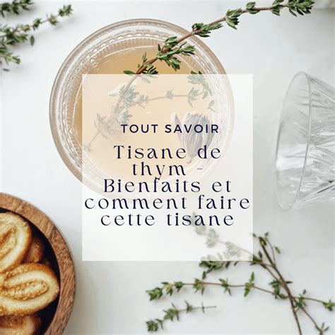 D Couvrez La Recette De Tisane De Thym Et Ses Bienfaits