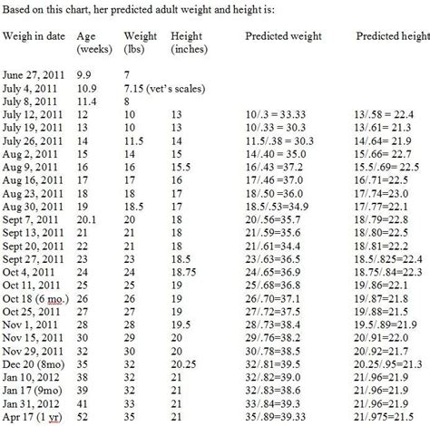 Standard Poodle Weight Chart