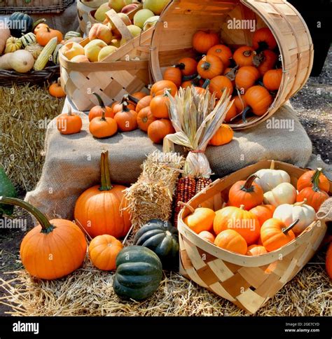 Farmstand Hi Res Stock Photography And Images Alamy