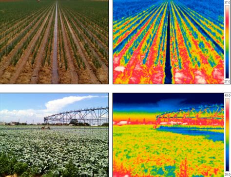 Figure From Remote Sensing For Evaluating Crop Water Stress At Field