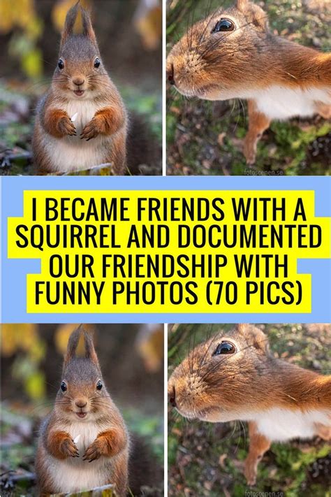 I Became Friends With A Squirrel And Documented Our Friendship With ...