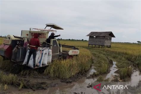 Kabupaten Penajam Susun Program Tingkatkan Produksi Kualitas Pertanian