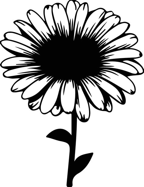 Ai Generated Gerbera Daisy Black Silhouette 40543113 Vector Art At Vecteezy