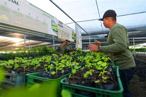 Noticiero El Salvador On Twitter El Vivero MOP FOVIAL Verde Tiene