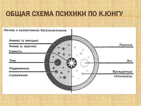 Аналитическая психология К. Юнга - презентация онлайн