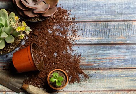 Colores Reciclaje Qué residuo va en cada contenedor