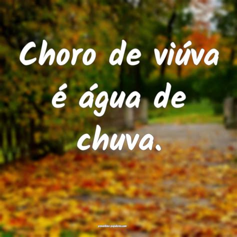 Sol E Chuva Casamento De Viuva - Sól e chuva, casamento de viúva
