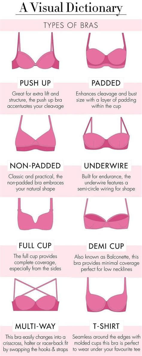 Bra Size Visual Chart