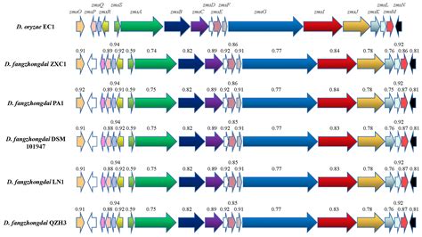 Genome Sequence Resource Of A Taro Bacterial Soft Rot Pathogen Dickeya Fangzhongdai Zxc1