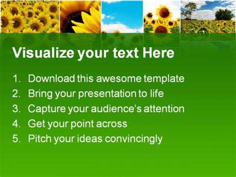 Sunflowers Collage Beauty Abstract Powerpoint Templates And Powerpoint