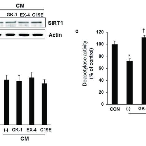 Effect Of Compound E On Sirt Deacetylase Activity Ins Cells