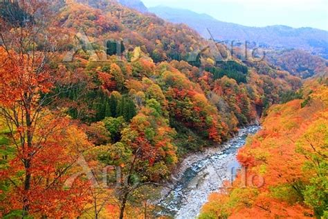 新潟県 津南町 秋山郷 中津川渓谷の紅葉 34132467 の写真素材 アフロ