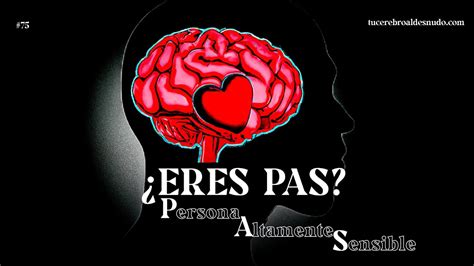 Cerebro De Una Persona Altamente Sensible Explorando La Neurociencia