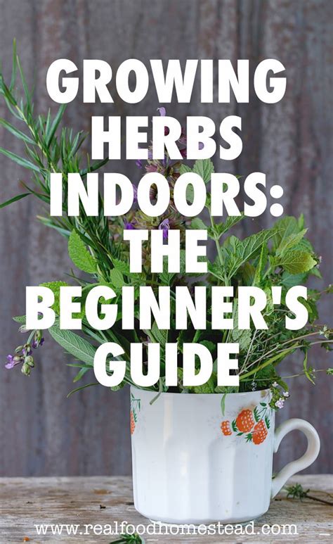 Growing Herbs Indoors The Beginner S Guide Artofit