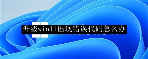 升级win11出现错误代码怎么办 出现错误代码解决方法介绍 53软件园