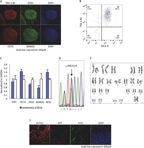 Characterization Of Mfs Hipsc Line Ismmsi B A Expression Of