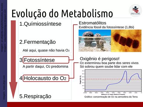 1em 5 Origem Da Vida Na Terra Ppt