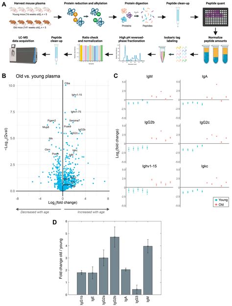 Proteomes Free Full Text Plasma And Kidney Proteome Profiling