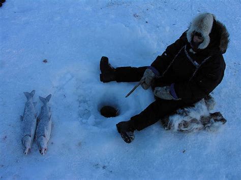 Inuit fishing — Science Learning Hub