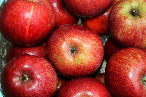 Red Apples Free Stock Photo Public Domain Pictures