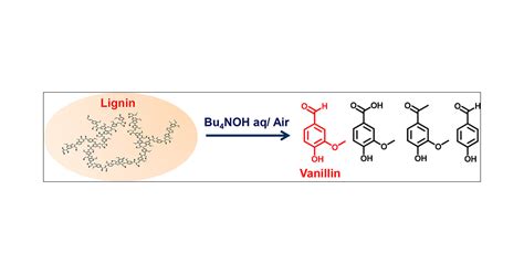 Tetrabutylammonium Hydroxide 30 Hydrate As Novel Reaction Medium For Lignin Conversion Acs