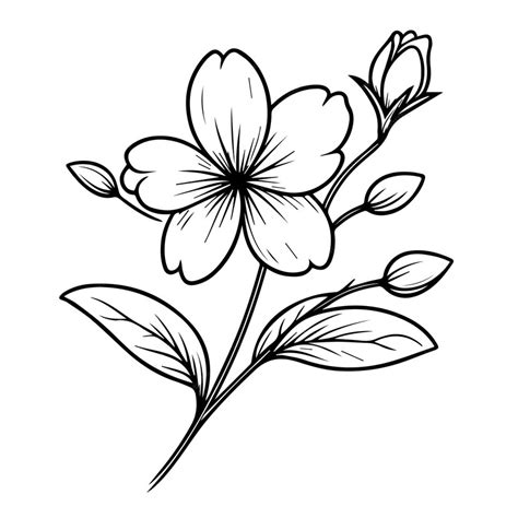 Premium Vector | Outline jasmine flower tattoo simple jasmine flower ...