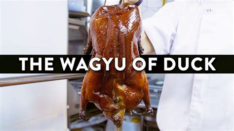 Incredible Duck Dishes Made With The Best Duck In The World Duckland Youtube