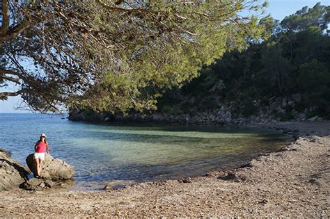 Viajar A Ibiza Con Ni Os En Ferry Disfruti