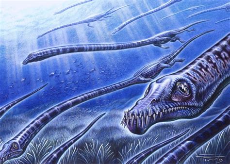 Tanystropheus Dinosaurs Pictures And Facts