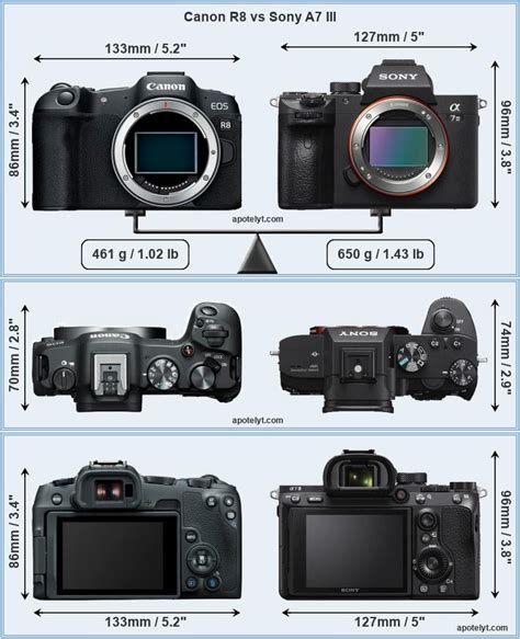 So Sánh Canon R8 Vs Sony A7 Iii Blogs Các Sản Phẩm Công Nghệ Zshop Vn