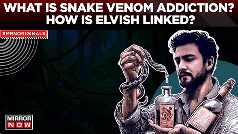 Elvish Yadav News Youtuber Arrested In Snake Venom Case What Is