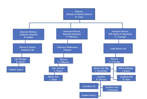 organizational chart