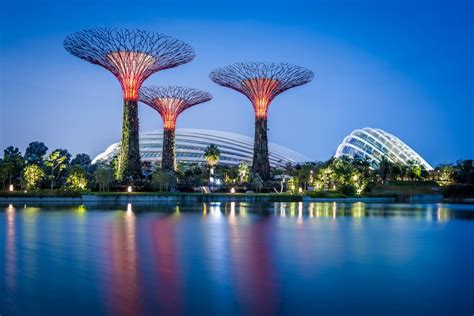 Gardens by the Bay, Singapore, Parks, Night, HD Wallpaper | Rare Gallery