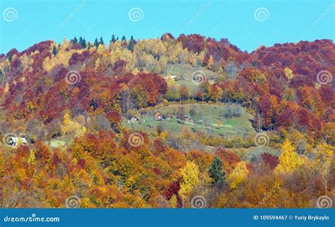 Autumn Carpathian Mountains Ukraine Stock Image Image Of Color Hill