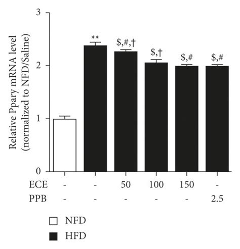 Ece And Ppb Reduce Cell Cycle Reentry And Adipogenesis In Visceral