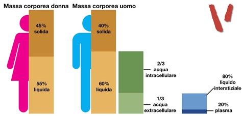 Bioimpedenziometria cos è e a cosa serve Project inVictus