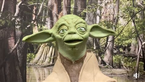 There is NO "Baby Yoda" - Kidologist.com