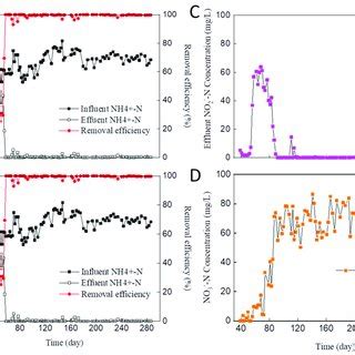 Specific Nitrification And Denitrification Rates Of Aerobic Granules In