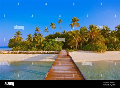 Tropical Maldives island Stock Photo - Alamy