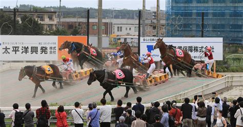 帯広ならではのばんえい競馬 Jtb旅カード