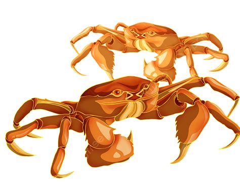 Seafood Hairy Crabs Seafood Crab Hairy Crab Png Transparent Clipart