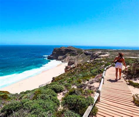 Excursi N De Un D A A La Pen Nsula Del Cabo Focas Ping Inos Y Cabo De