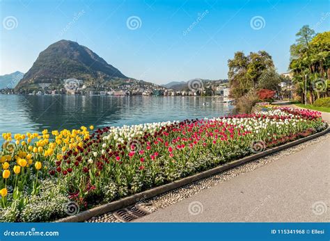 Landscape With Lake Lugano And Colorful Tulips In Bloom From Ciani Park