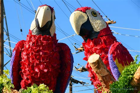 Viewing the 2013 Rose Parade Floats Up Close - The World Is A Book