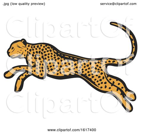 Running Cheetah by Vector Tradition SM #1617400