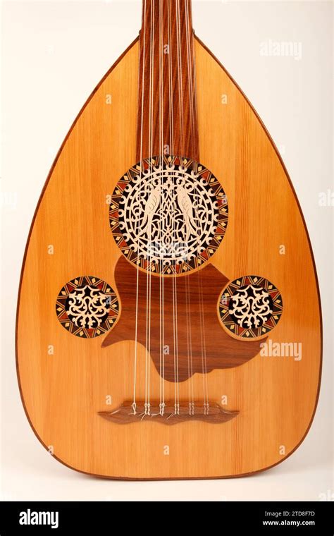 Egyptian Oud 11 String With Highly Decorated Soundholes String